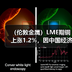 （伦敦金属）LME期铜上涨1.2%，因中国经济刺激措施提供支持（图1）