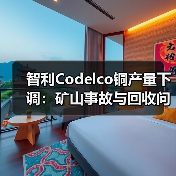 智利Codelco铜产量下调:矿山事故与回收问题成主因(图1) 智利Codelco铜产量下调:矿山事故与回收问题成主因(图1)
