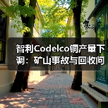 智利Codelco铜产量下调:矿山事故与回收问题成主因(图2) 智利Codelco铜产量下调:矿山事故与回收问题成主因(图2)