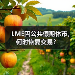 LME因公共假期休市，何时恢复交易？（图4）