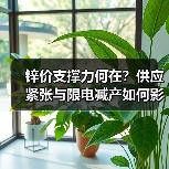 锌价支撑力何在?供应紧张与限电减产如何影响市场?(图4) 锌价支撑力何在?供应紧张与限电减产如何影响市场?(图4)