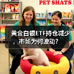 黄金白银ETF持仓减少，市场为何波动？（图2）