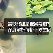 美联储加息拖累期铜?深度解析铜价下跌主因(图2) 美联储加息拖累期铜?深度解析铜价下跌主因(图2)