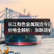 长江有色金属现货今日价格全解析:涨跌明细与市场动态(图2) 长江有色金属现货今日价格全解析:涨跌明细与市场动态(图2)
