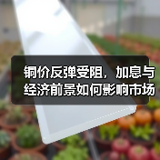 铜价反弹受阻,加息与经济前景如何影响市场?(图2) 铜价反弹受阻,加息与经济前景如何影响市场?(图2)
