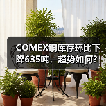 COMEX铜库存环比下降635吨，趋势如何？（图4）