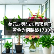 美元走强与加息预期下，黄金为何跌破1700美元？（图2）