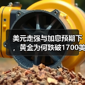 美元走强与加息预期下，黄金为何跌破1700美元？（图3）
