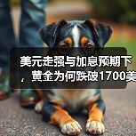 美元走强与加息预期下，黄金为何跌破1700美元？（图4）