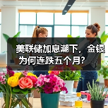 美联储加息潮下，金银为何连跌五个月？（图1）
