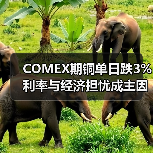 COMEX期铜单日跌3% 利率与经济担忧成主因（图2）