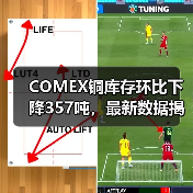 COMEX铜库存环比下降357吨，最新数据揭秘（图3）
