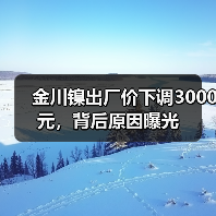 金川镍出厂价下调3000元，背后原因曝光（图3）