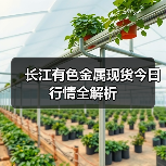 长江有色金属现货今日行情全解析（图1）