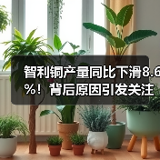 智利铜产量同比下滑8.6%！背后原因引发关注（图4）