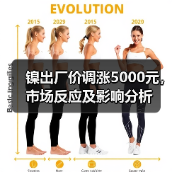 镍出厂价调涨5000元，市场反应及影响分析（图2）