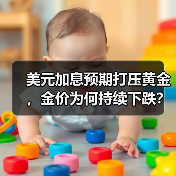 美元加息预期打压黄金,金价为何持续下跌?(图3) 美元加息预期打压黄金,金价为何持续下跌?(图3)