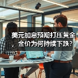 美元加息预期打压黄金,金价为何持续下跌?(图2) 美元加息预期打压黄金,金价为何持续下跌?(图2)