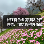 长江有色金属现货今日行情:铜铝价格波动解析(图4) 长江有色金属现货今日行情:铜铝价格波动解析(图4)