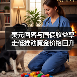 美元回落与国债收益率走低推动黄金价格回升(图2) 美元回落与国债收益率走低推动黄金价格回升(图2)
