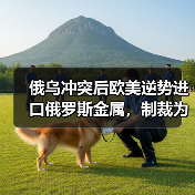 俄乌冲突后欧美逆势进口俄罗斯金属，制裁为何失效？（图4）
