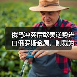 俄乌冲突后欧美逆势进口俄罗斯金属，制裁为何失效？（图3）