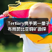 Tertiary携手第一量子布局赞比亚铜矿勘探(图4) Tertiary携手第一量子布局赞比亚铜矿勘探(图4)