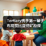Tertiary携手第一量子布局赞比亚铜矿勘探(图2) Tertiary携手第一量子布局赞比亚铜矿勘探(图2)